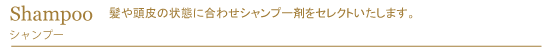 シャンプー